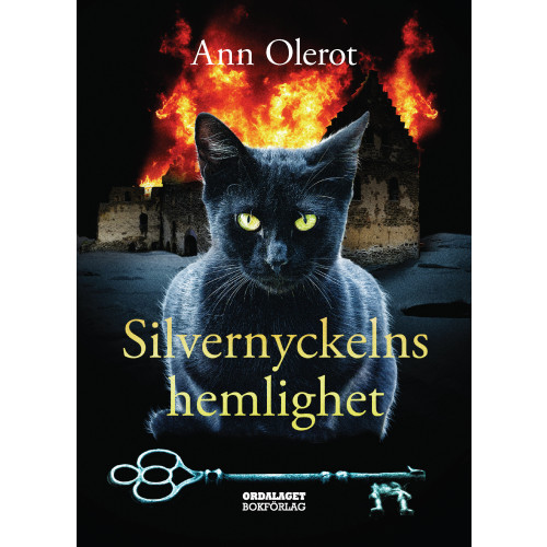 Ann Olerot Silvernyckelns hemlighet (bok, kartonnage)
