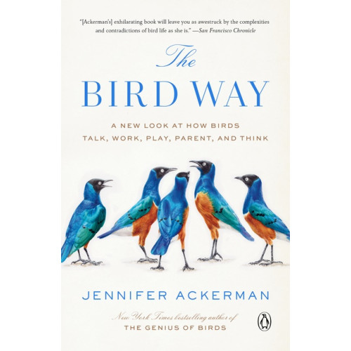 Jennifer Ackerman The Bird Way (häftad, eng)
