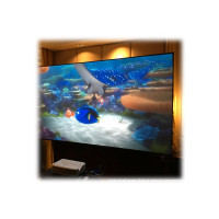 Produktbild för Elite Screens Aeon CLR Series AR120H-CLR - projektorduk - 120" (305 cm)