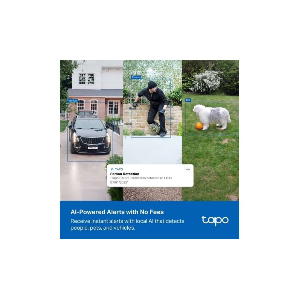Produktbild för Tapo C465 V1 - nätverksövervakningskamera