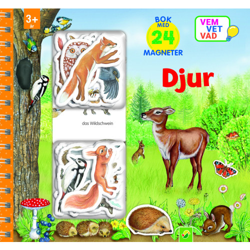 Stevali Djur : bok med 24 magneter (bok, spiral)