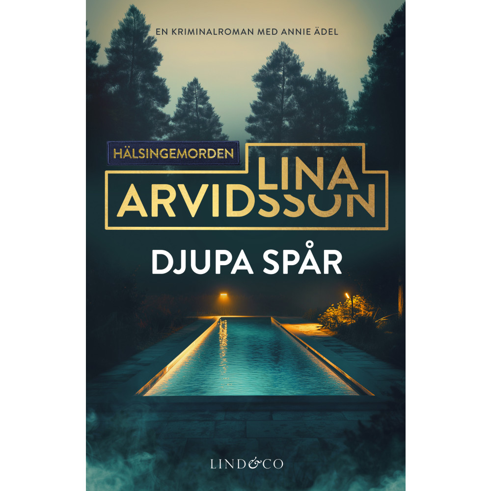 Produktbild för Djupa spår (pocket)