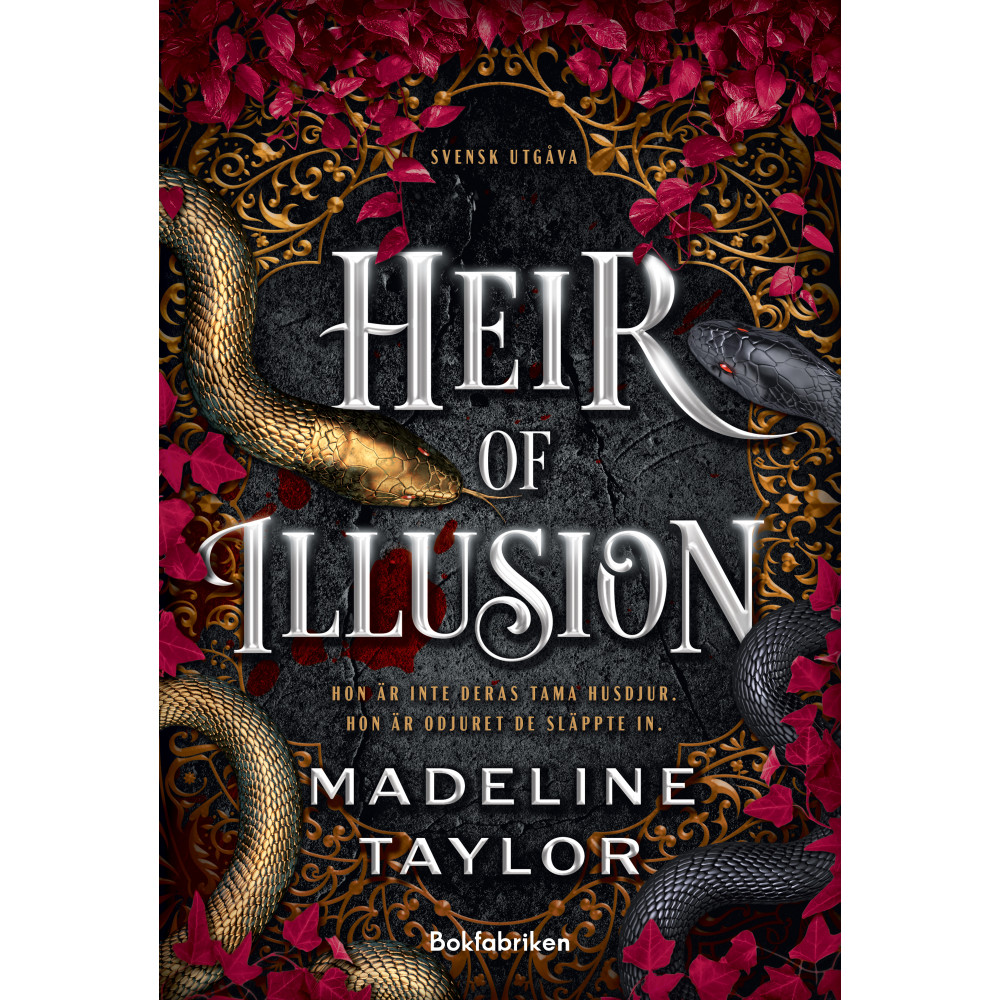Produktbild för Heir of Illusion (svensk utgåva) (häftad)