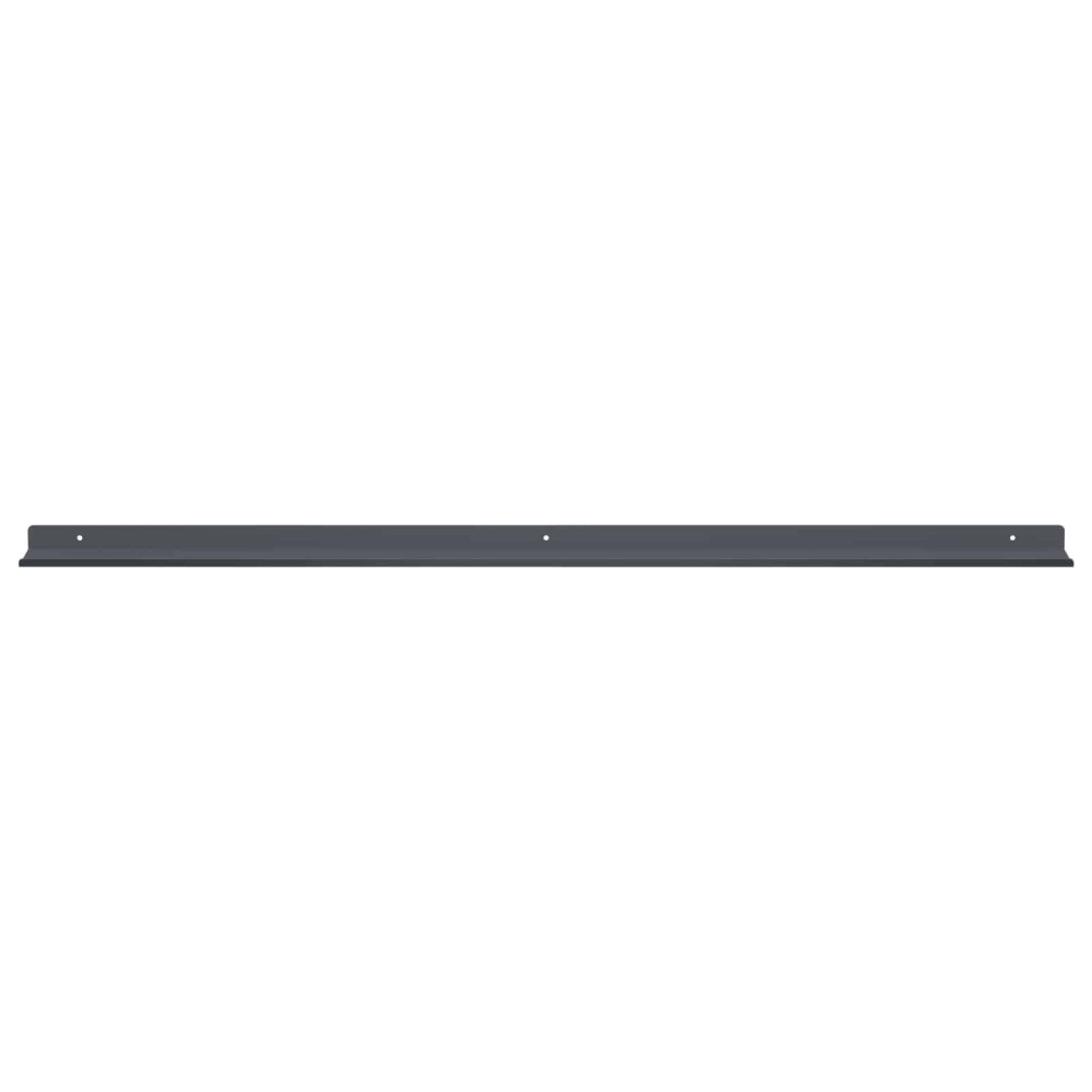 Produktbild för Flytande hylla 2 pcs Antracit 100 x 9 x 2,5 cm Stål