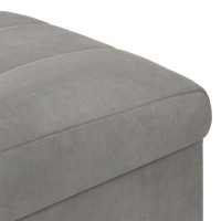 Produktbild för Förvaringspall med kudde Ljusgrå 40 x 40 x 45 cm Sammet
