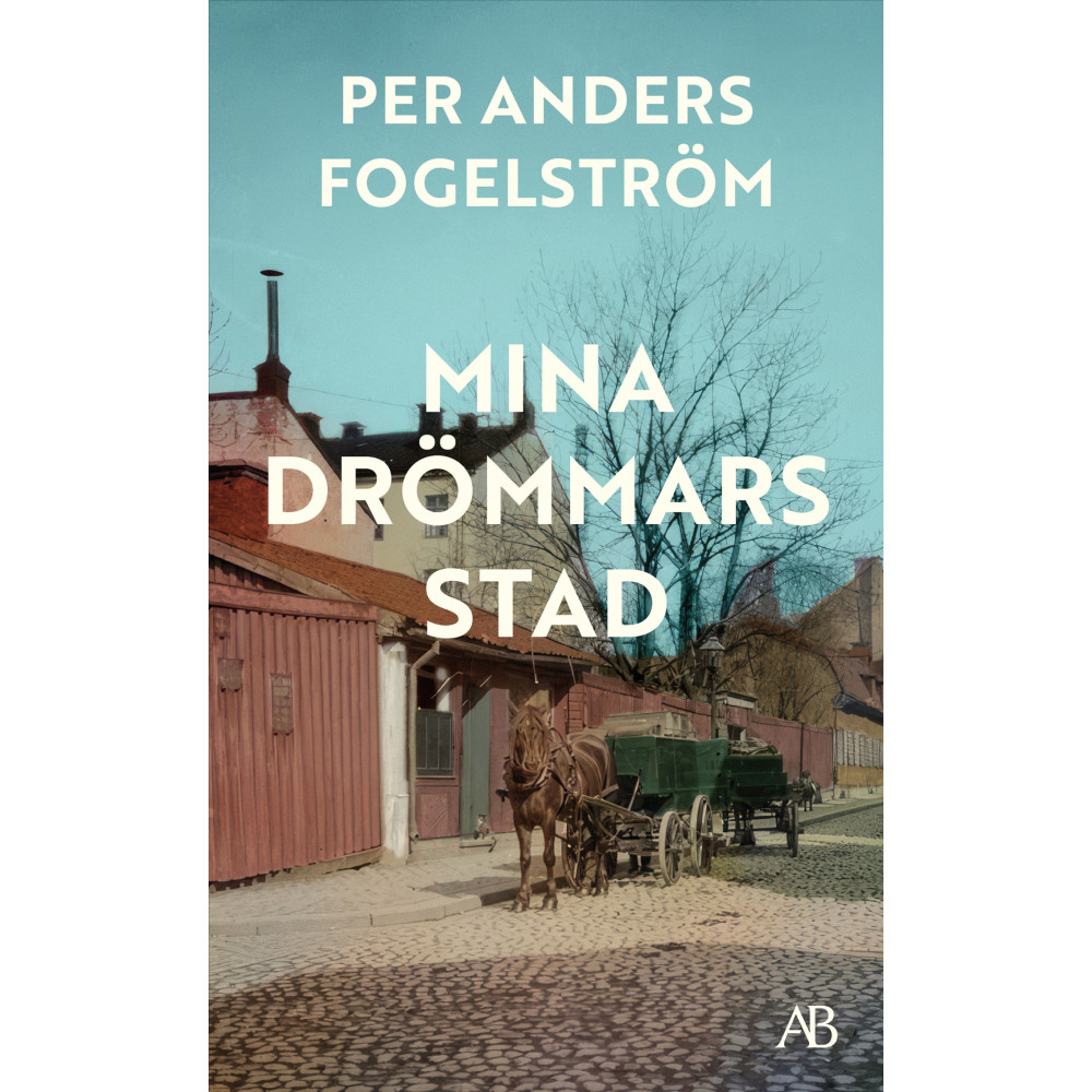 Produktbild för Mina drömmars stad (pocket)