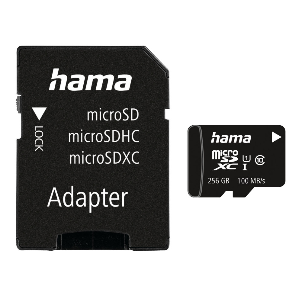 Produktbild för Memory Card Micro SDHC 256GB Class 10 UI V10 100MB/s