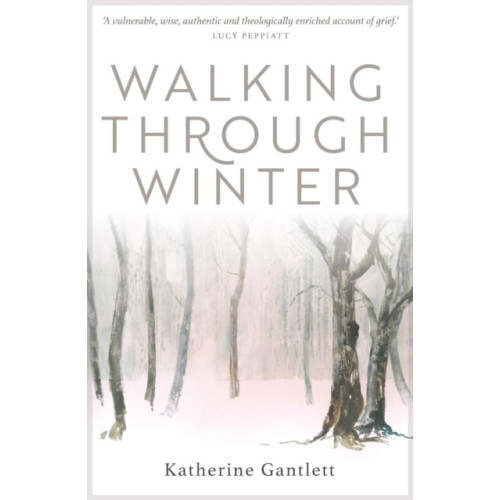 Instant apostle Walking Through Winter (häftad, eng)