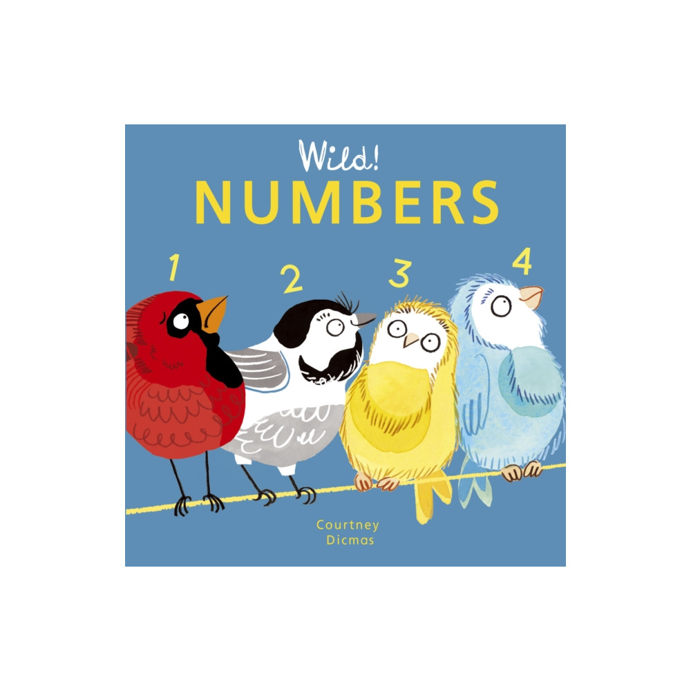 Produktbild för Numbers (bok, board book, eng)