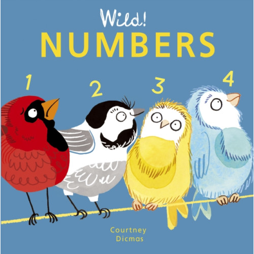 Child's Play International Ltd Numbers (bok, board book, eng)