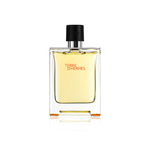 Hermes Hermes Terre D'Hermes Edt Spray