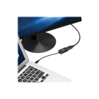 Produktbild för Eaton Tripp Lite Series USB C to DisplayPort Video Adapter Converter 4K x 2K @ 60Hz, Black, USB Type C to DP, USB-C, USB Type-C 6in - extern videoadapter - svart
