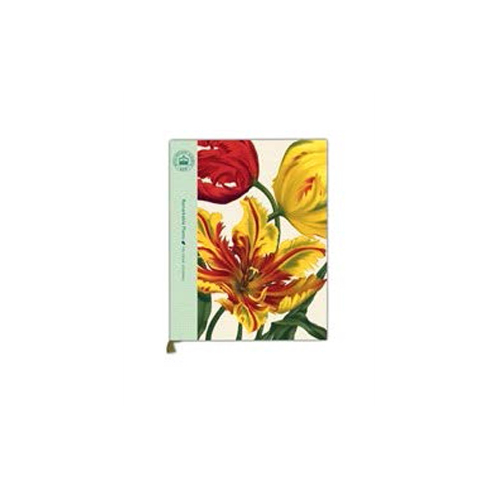 Produktbild för Remarkable Plants: Five-Year Journal (inbunden, eng)