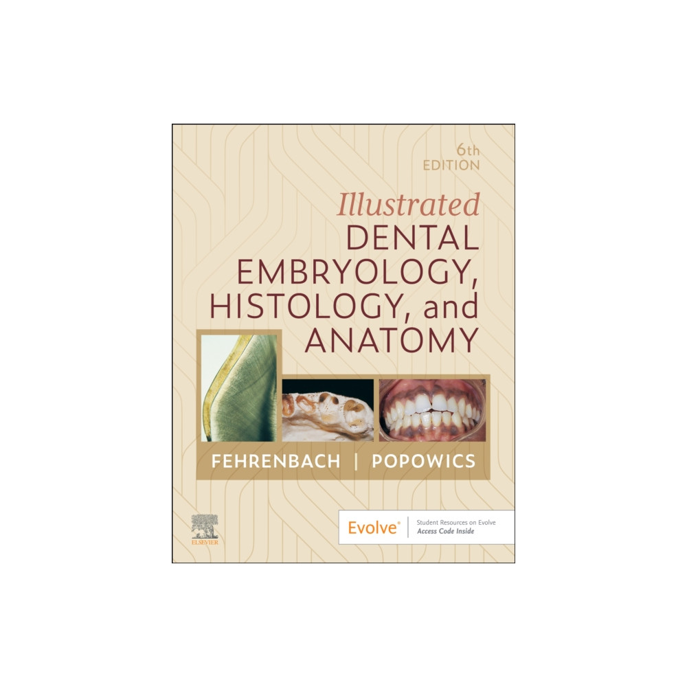 Produktbild för Illustrated Dental Embryology, Histology, and Anatomy (häftad, eng)