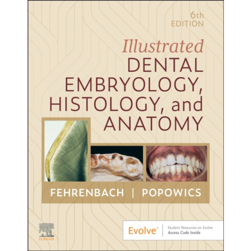 Elsevier Health Sciences Illustrated Dental Embryology, Histology, and Anatomy (häftad, eng)