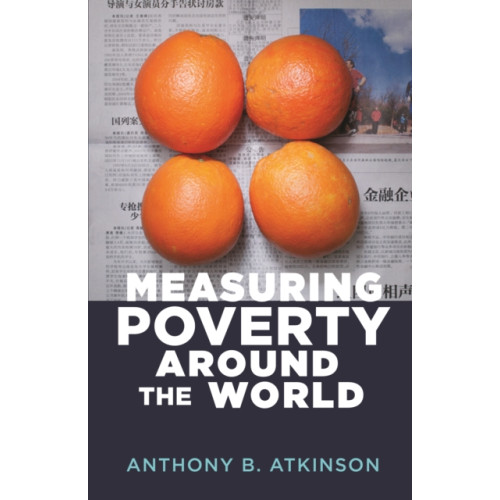 Princeton University Press Measuring Poverty around the World (häftad, eng)