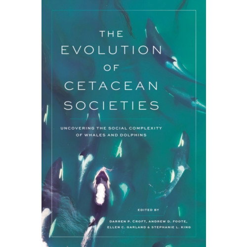 The university of chicago press The Evolution of Cetacean Societies (häftad, eng)