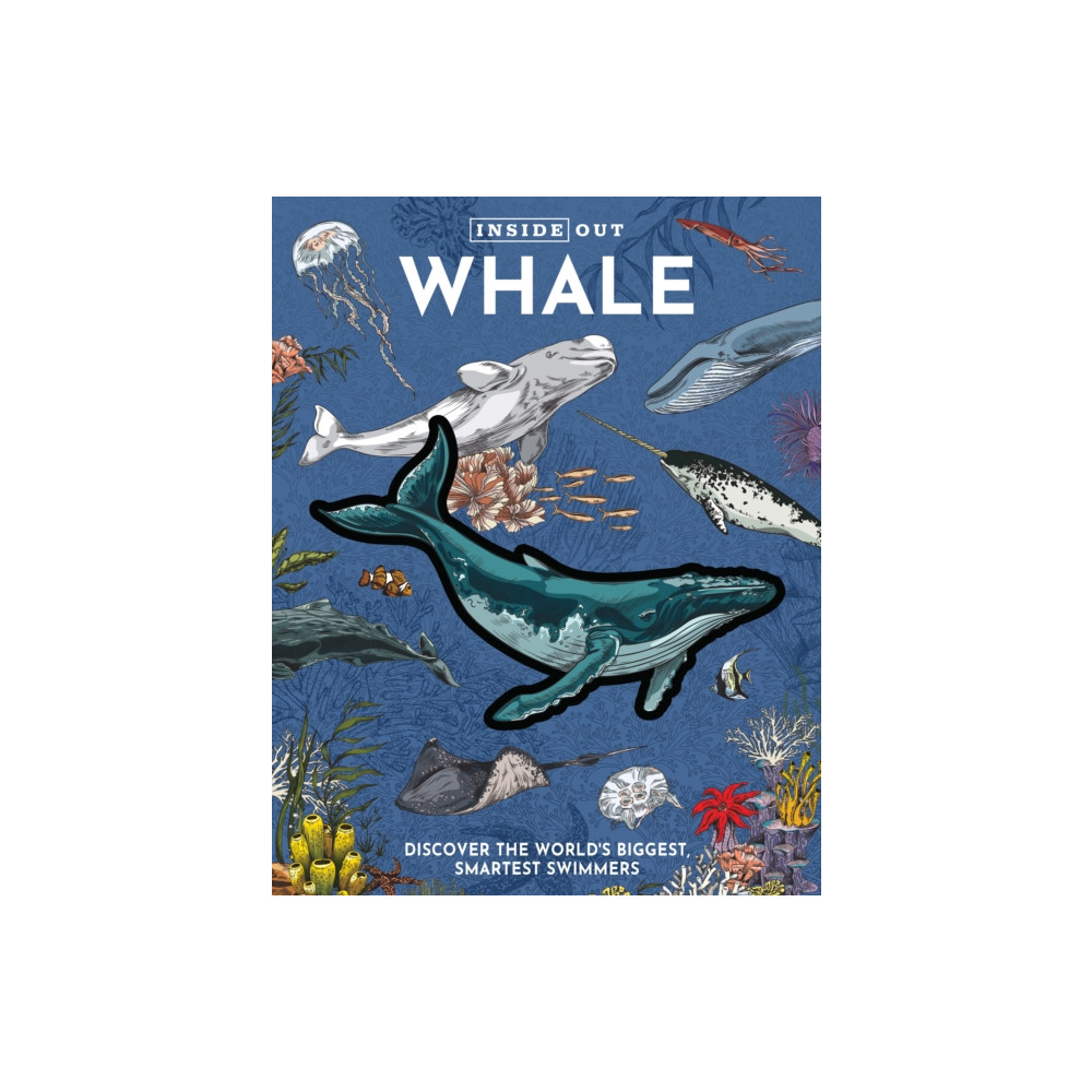 Produktbild för Inside Out Whale (bok, board book, eng)