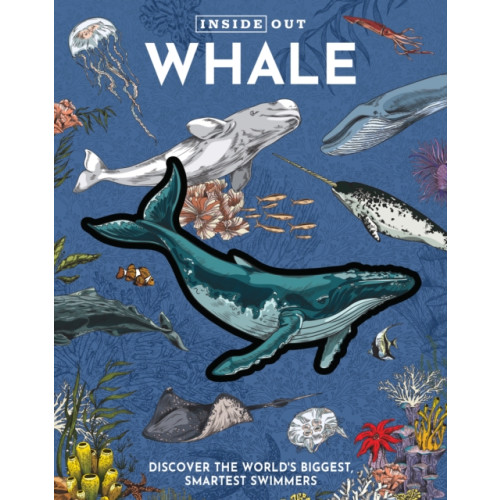 Quarto Publishing Group USA Inc Inside Out Whale (bok, board book, eng)