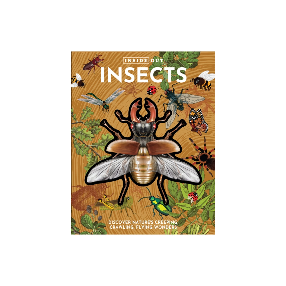 Produktbild för Inside Out Insects (bok, board book, eng)