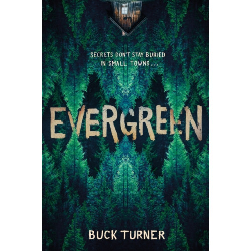 Sourcebooks, Inc Evergreen (häftad, eng)
