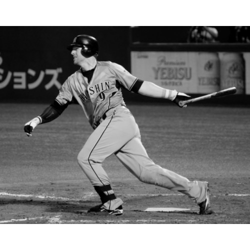 In the Japanese Ballpark (inbunden, eng)