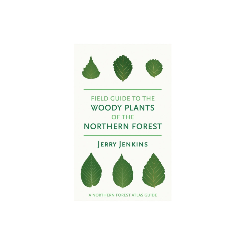 Produktbild för Field Guide to the Woody Plants of the Northern Forest (häftad, eng)