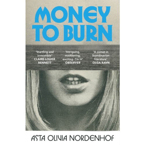 Vintage Publishing Money to Burn (häftad, eng)