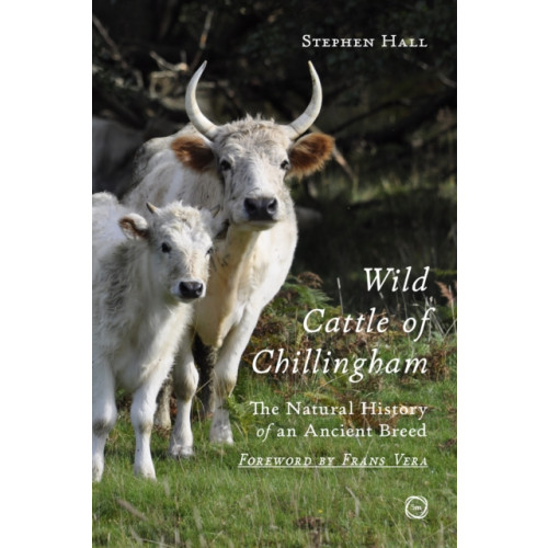 5M Books Ltd Wild Cattle of Chillingham (häftad, eng)