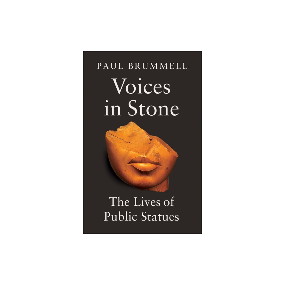 Produktbild för Voices in Stone (inbunden, eng)