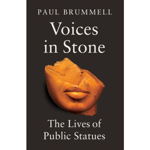 C hurst & co publishers ltd Voices in Stone (inbunden, eng)