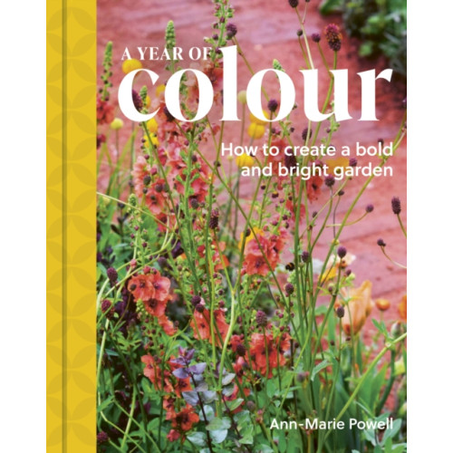 Quarto Publishing Plc A Year of Colour (inbunden, eng)