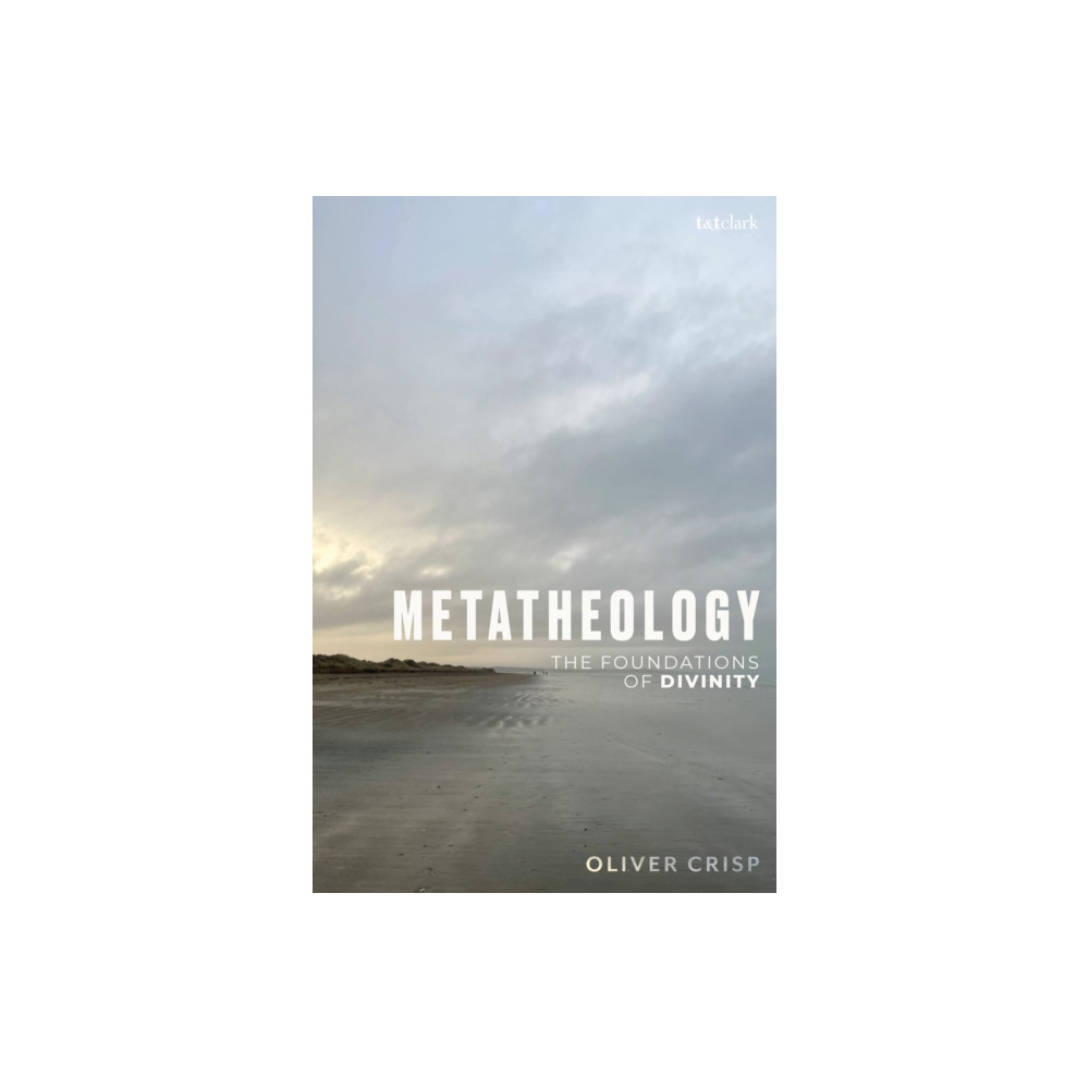 Produktbild för Metatheology (häftad, eng)