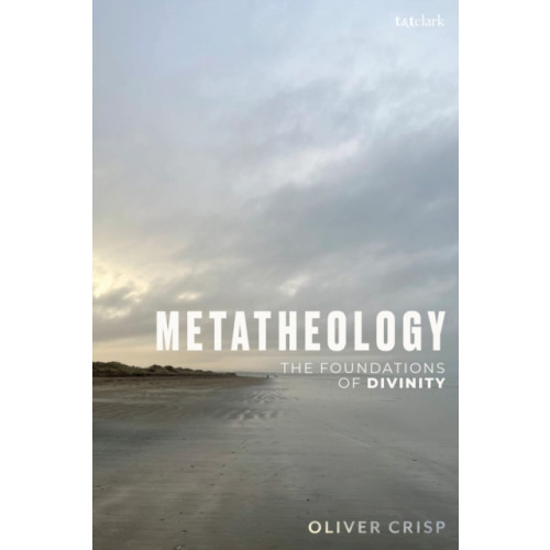 Bloomsbury Publishing PLC Metatheology (häftad, eng)