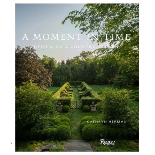 Rizzoli International Publications A Moment In Time (inbunden, eng)