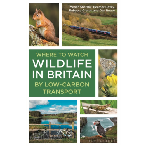 Bloomsbury Publishing PLC Where to Watch Wildlife in Britain (häftad, eng)