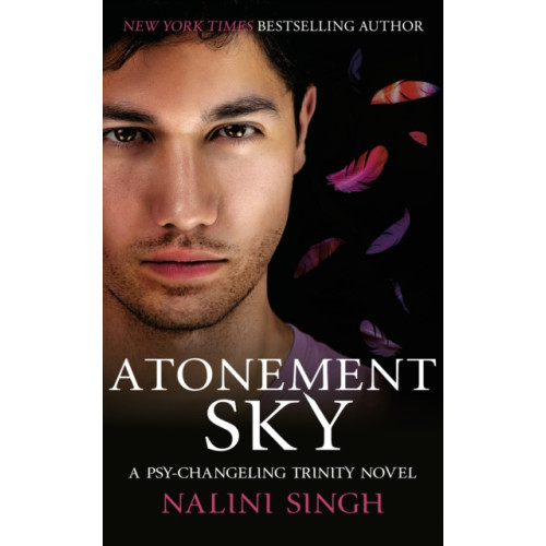 Orion Publishing Co Atonement Sky (häftad, eng)