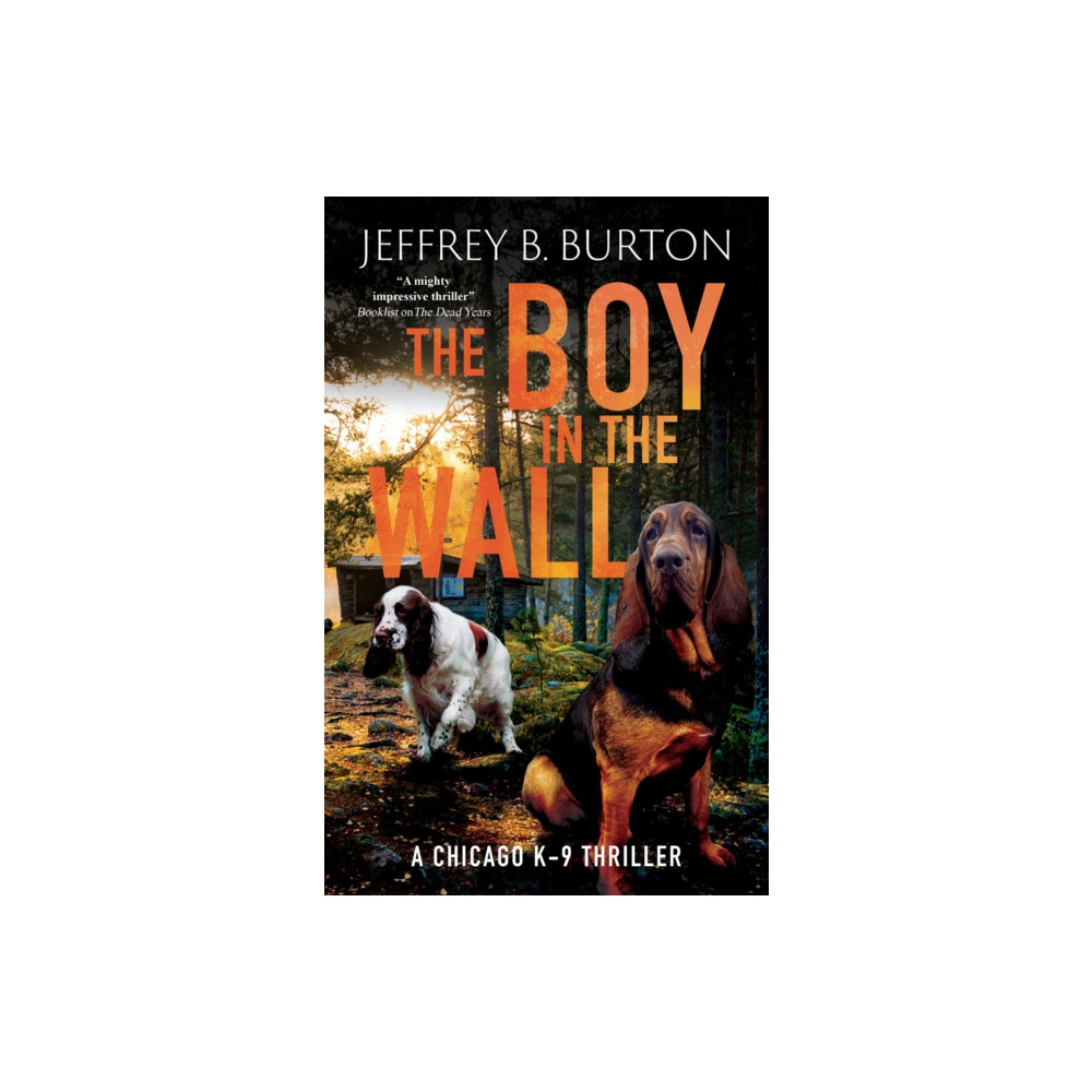 Produktbild för The Boy in the Wall (inbunden, eng)