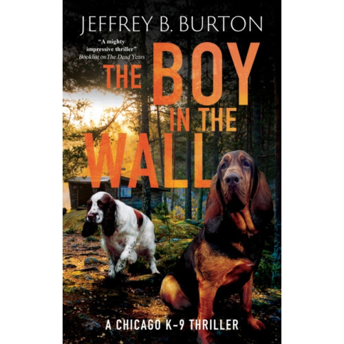 Joffe Books The Boy in the Wall (inbunden, eng)