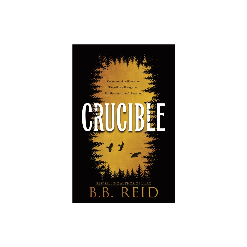 Produktbild för Crucible (häftad, eng)