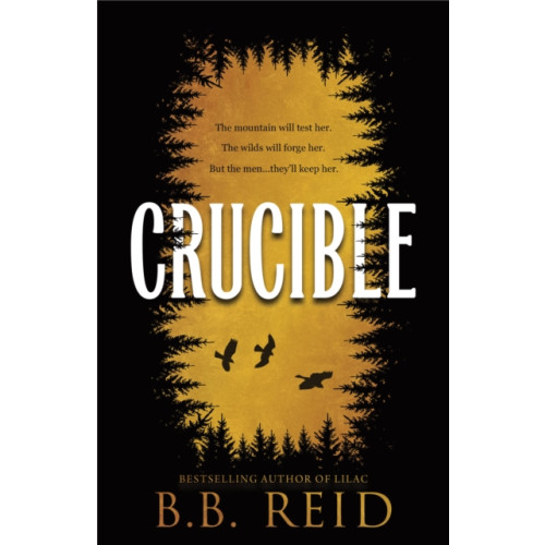 Sourcebooks, Inc Crucible (häftad, eng)