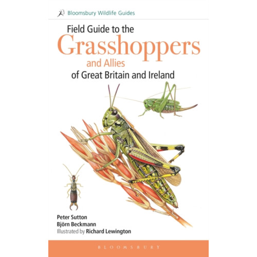 Bloomsbury Publishing PLC Field Guide to the Grasshoppers and Allies of Great Britain and Ireland (häftad, eng)