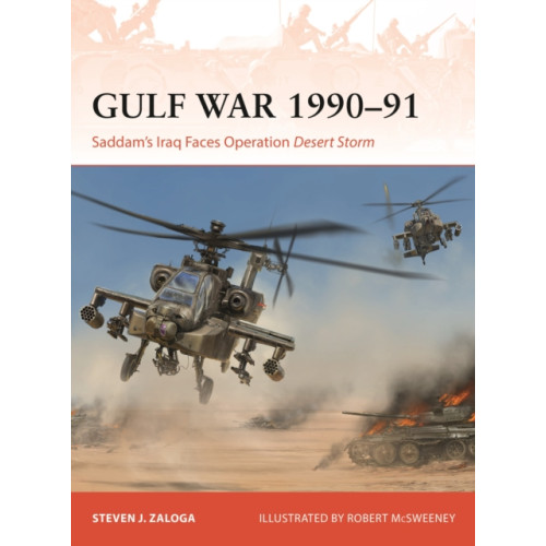Bloomsbury Publishing PLC Gulf War 1990–91 (häftad, eng)
