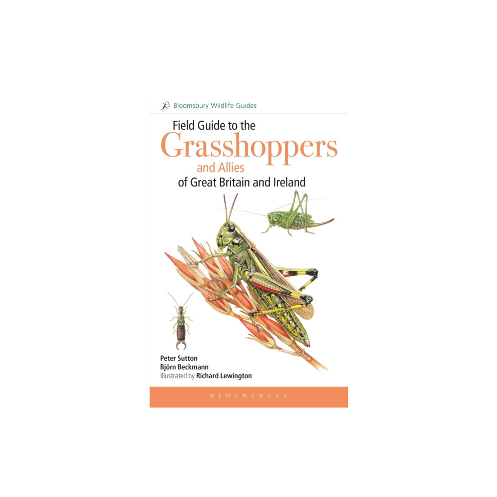 Produktbild för Field Guide to the Grasshoppers and Allies of Great Britain and Ireland (inbunden, eng)