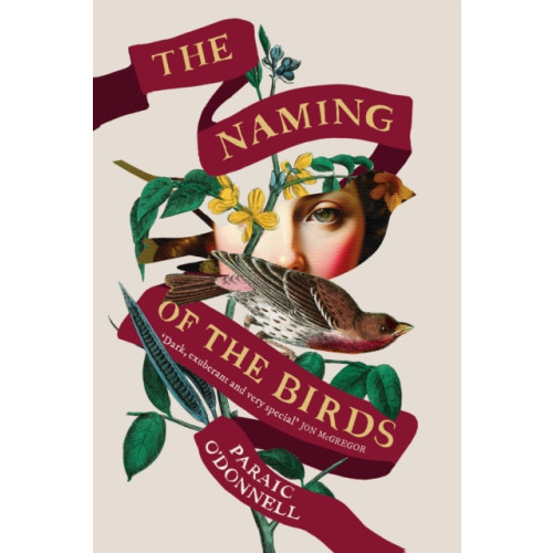 Orion Publishing Co The Naming of the Birds (häftad, eng)
