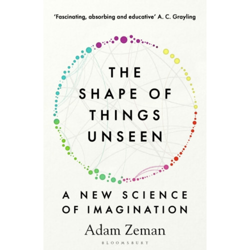 Bloomsbury Publishing PLC The Shape of Things Unseen (häftad, eng)