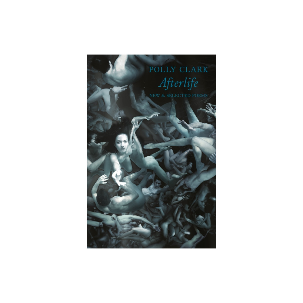 Produktbild för Afterlife (häftad, eng)