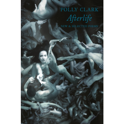 Bloodaxe Books Ltd Afterlife (häftad, eng)