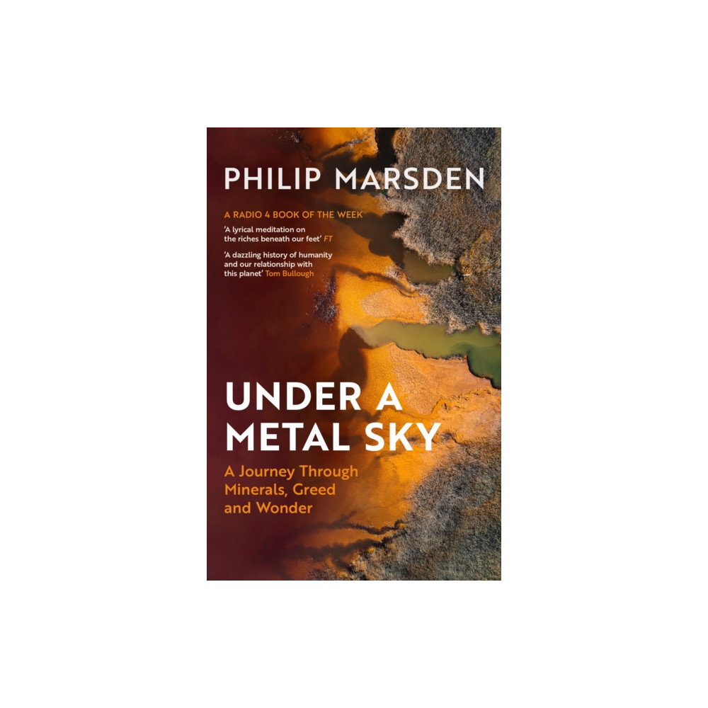 Produktbild för Under a Metal Sky (häftad, eng)