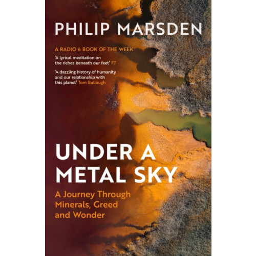 Granta Books Under a Metal Sky (häftad, eng)